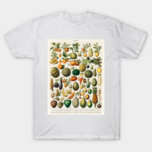 variety of fruits and vegetables T-Shirt